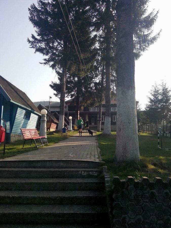 Vila Bratocea Cheia (Prahova) Exterior foto